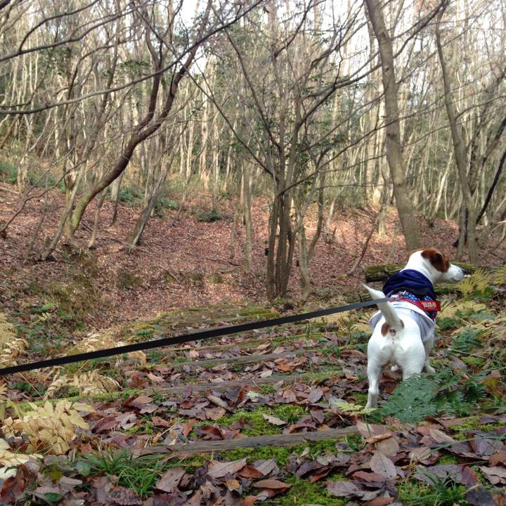 0ef0e845 0787 4434 b620 0e63d032e9b7