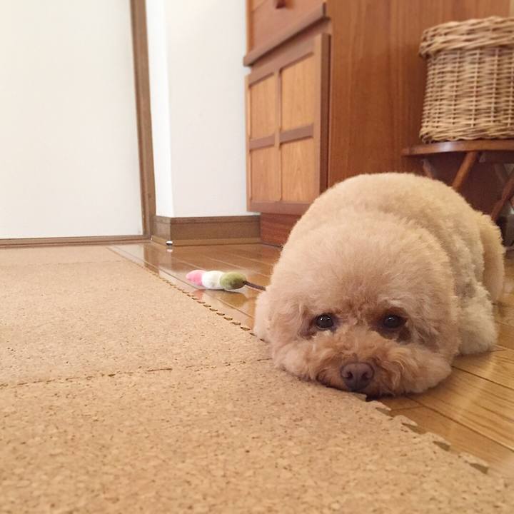 0ef119b7 d716 4814 b9f5 997b5183c4b6