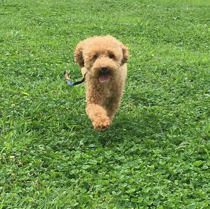 0ef1ca0c aad9 4a3c 92c8 7d6530270a7f