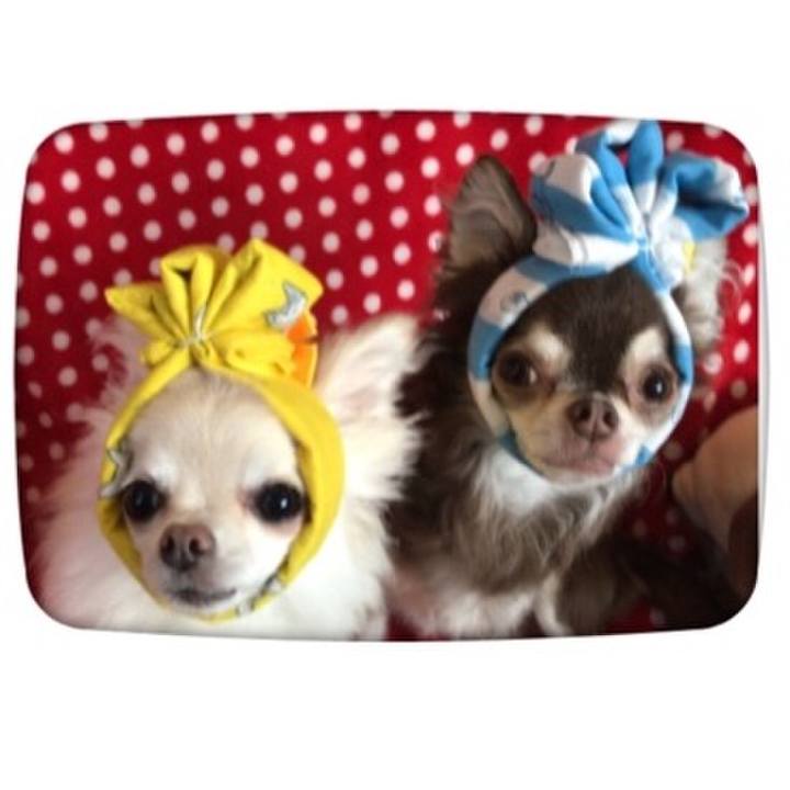 0ef25514 59ca 43c2 9e33 aa139c0e7e20