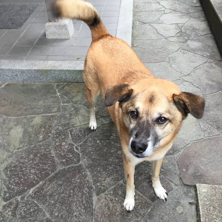 0ef25ccb 8389 441c b7c5 7cc4293882bb