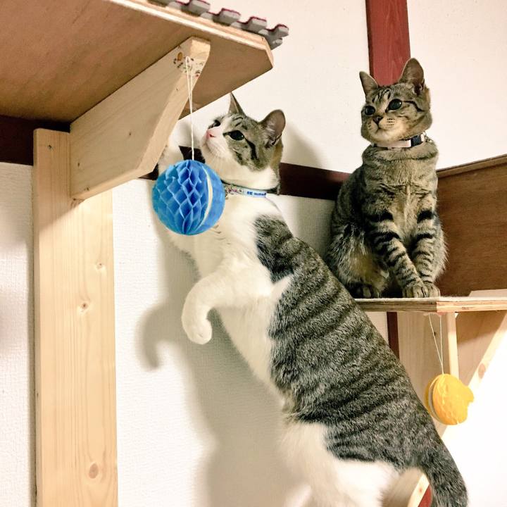 0ef27fc0 bfee 48ad b8b9 422dca5c2ad4