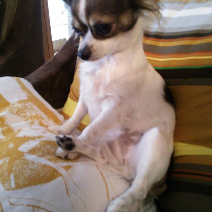 0ef2a780 92a6 4a14 a6d9 a15654b1d093