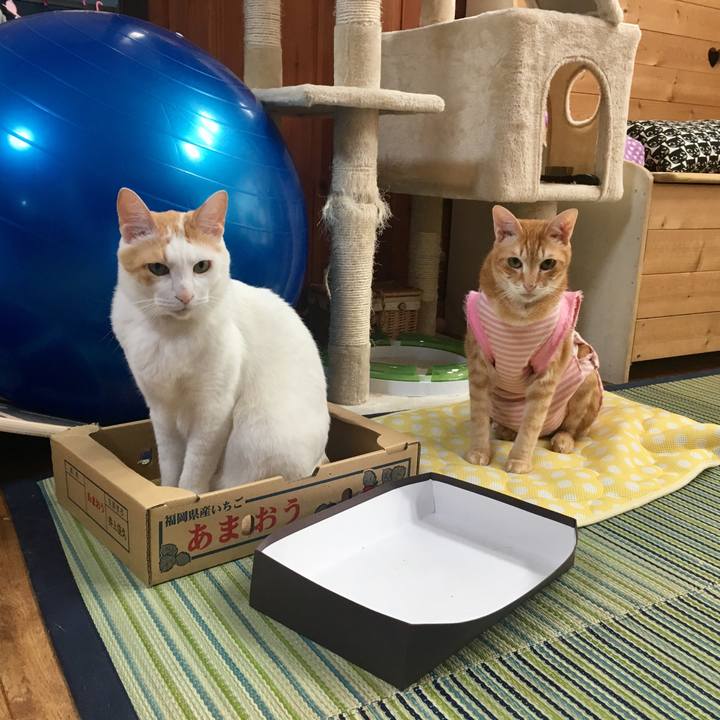 0ef3267c bdd4 478f 94af a63e7b1e9af3