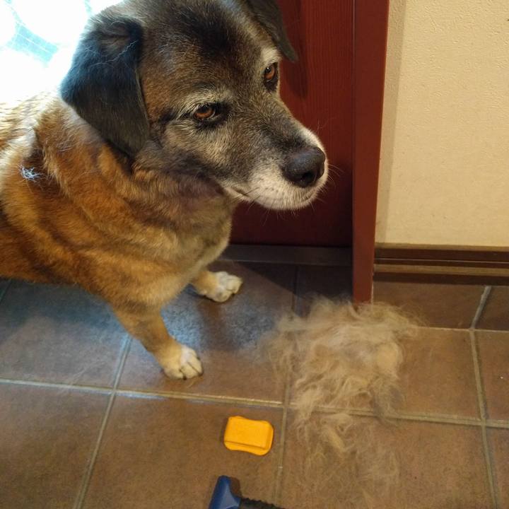 0ef34ede 3431 40be ba3a ea0163b21764