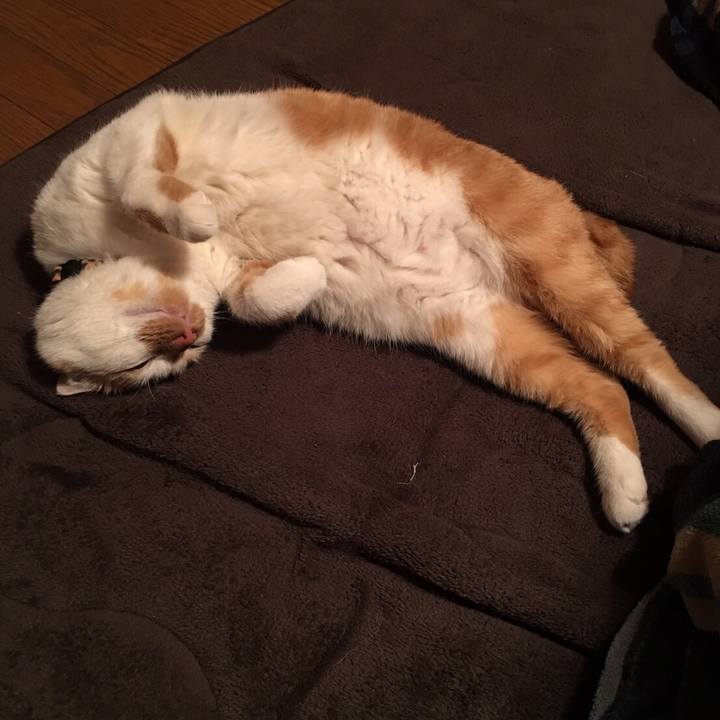 0ef42415 99a2 4cb9 8bcc 60ff266956d4