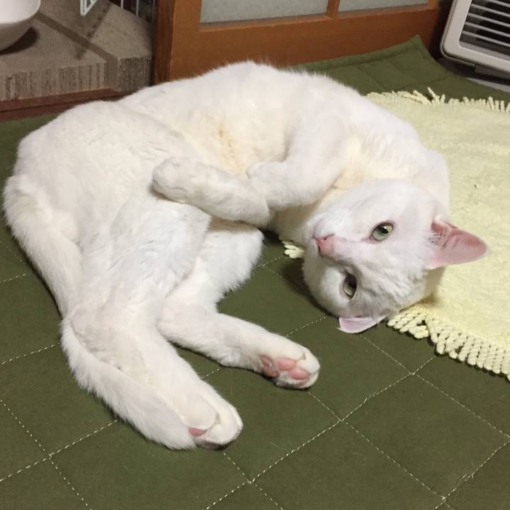 0ef4af60 875a 454b 9150 5b65b6adcc87