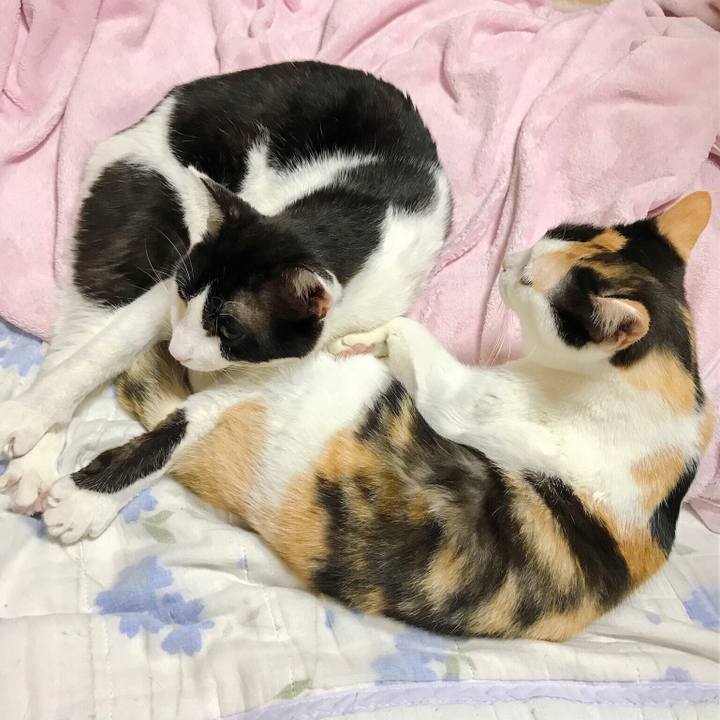 0ef51356 2581 45bf bdb7 c9d94a75fdc9