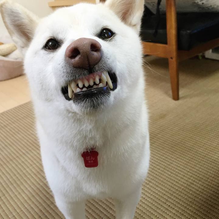 0ef660fa d735 4047 adae dcaab572c633