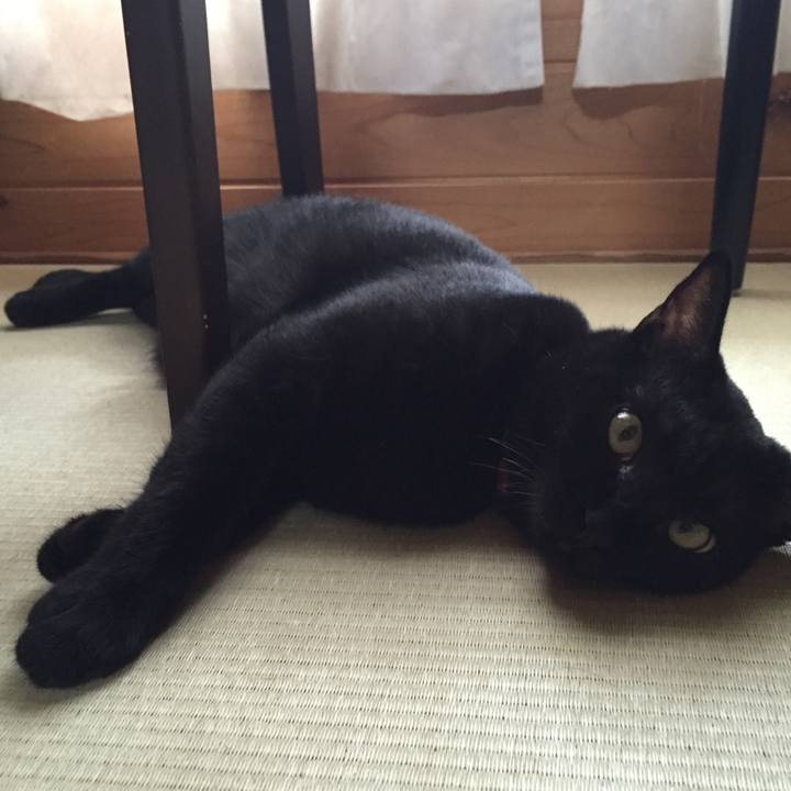 0ef6ac03 fc50 41ac 95db 56a8e565e83d