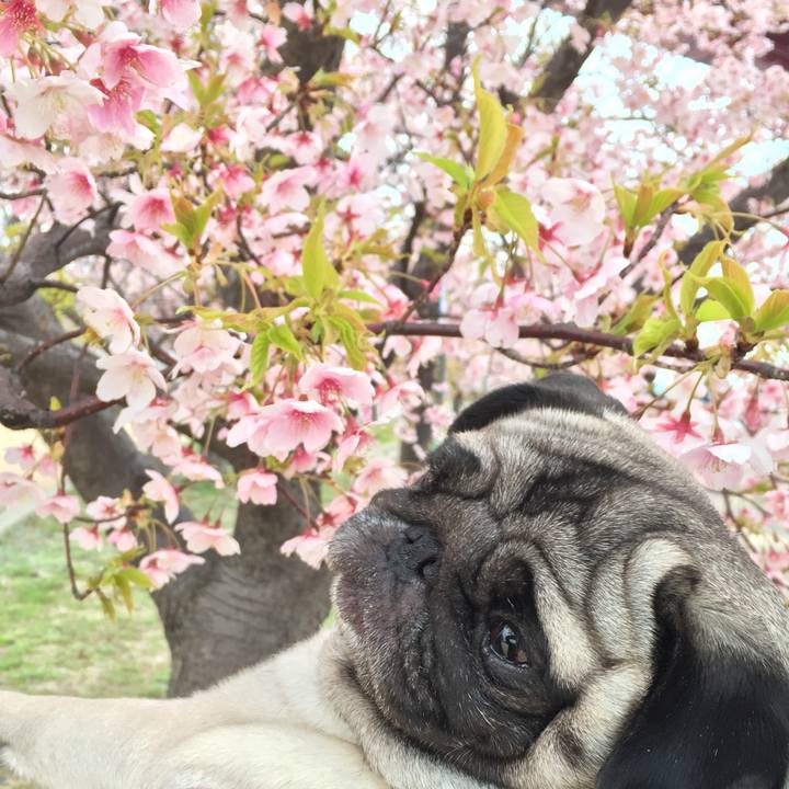 0ef7b740 dce8 450a 9627 993f2a541734