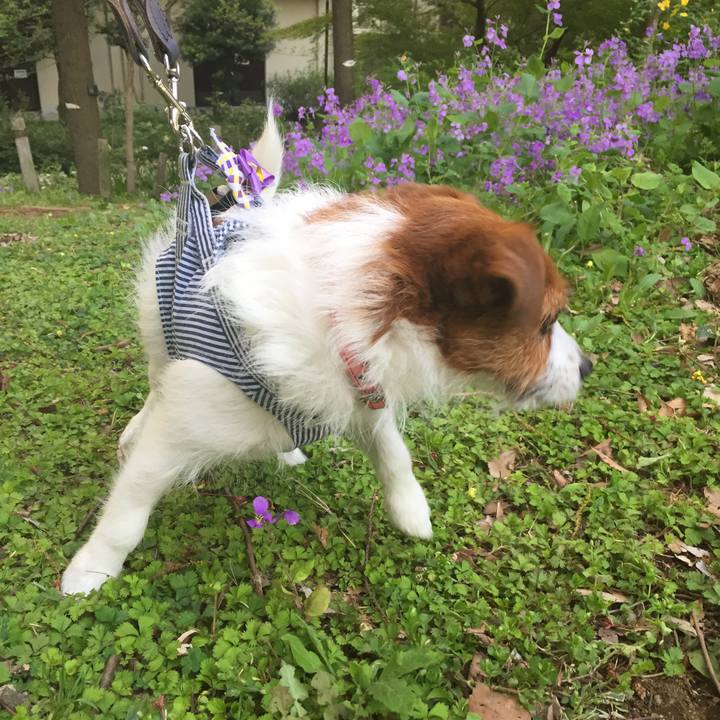 0ef7dfbf afbe 4f54 a846 ecebe13c92de