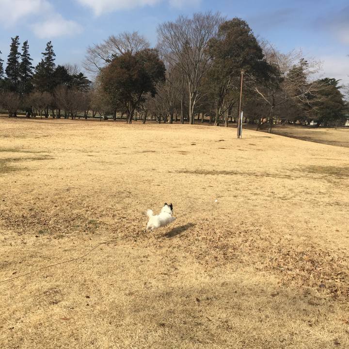 0ef7fb70 1da5 44d1 b53b 80b8d55d2984