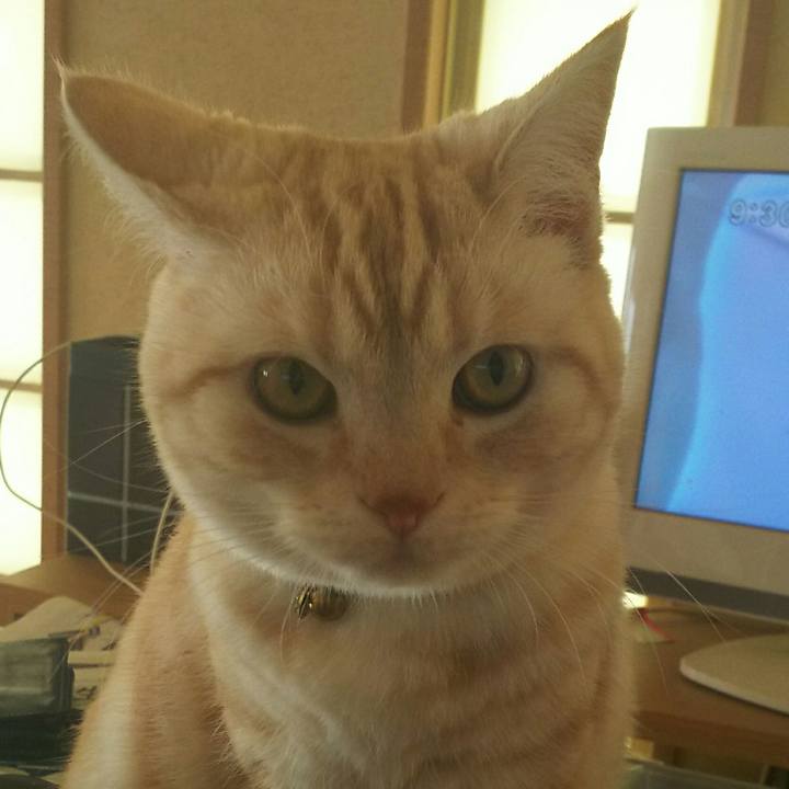 0ef8011c ca5e 441f 8d87 f91439583914