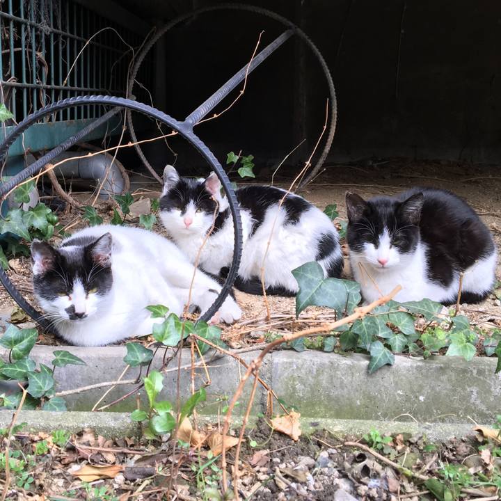 0ef89cd8 b901 4c32 b5b6 8dc78344a146