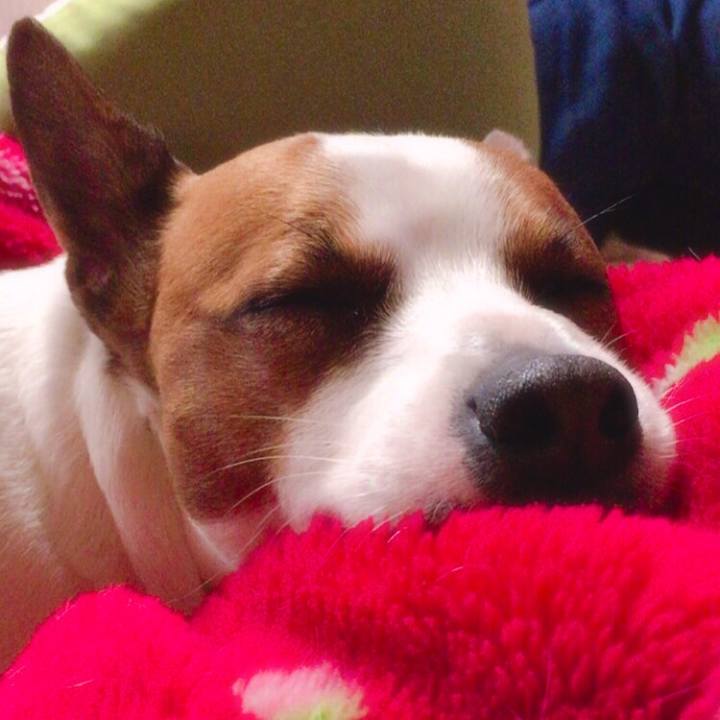 0ef8c6dc 7165 45ea 8573 f716b86c63a1