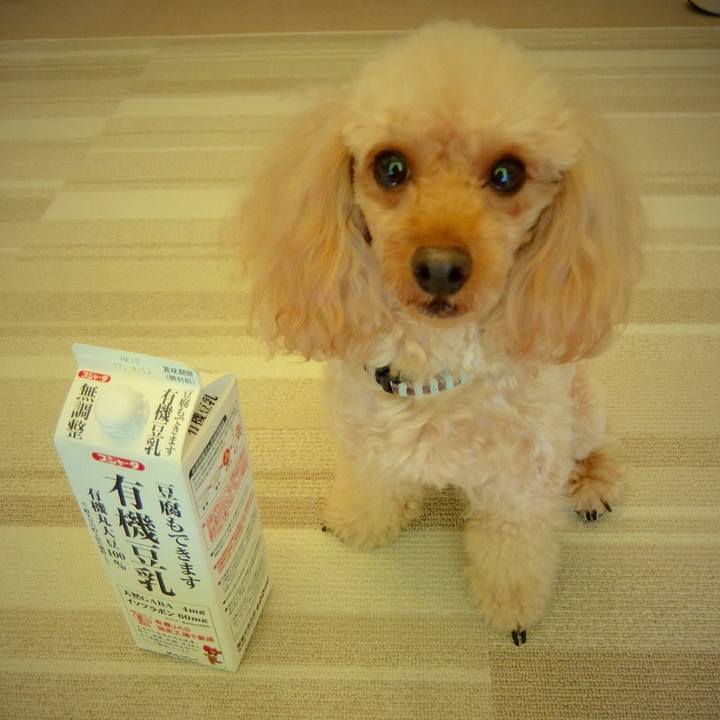 0ef91770 4d89 4bce a7c4 76102912a3c9