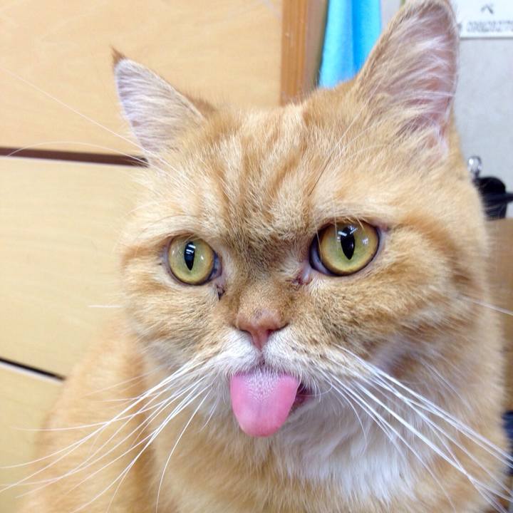 0ef94856 81ef 4147 b529 1d282ce38768