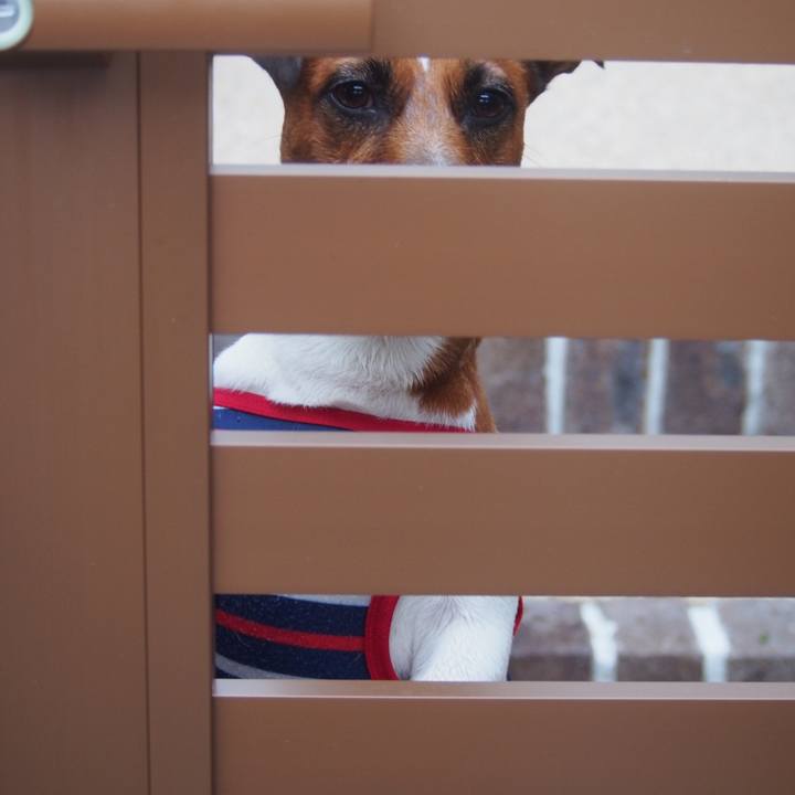 0ef9cf27 ad8e 4cdb 91cc d1e6ee23ddce