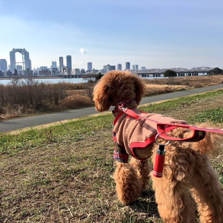 0ef9ef8d 1a00 4c7c a0e9 672afdff875b