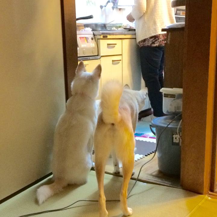 0efb626a 0ecd 44ca b210 0bb65a4f4375