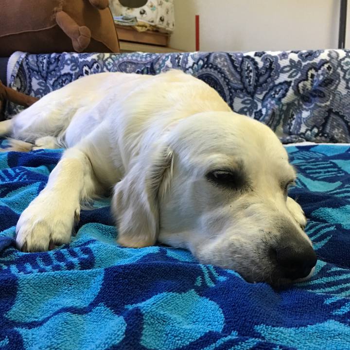 0efbfdb3 3e06 4c5f 8ef1 502982b2f487