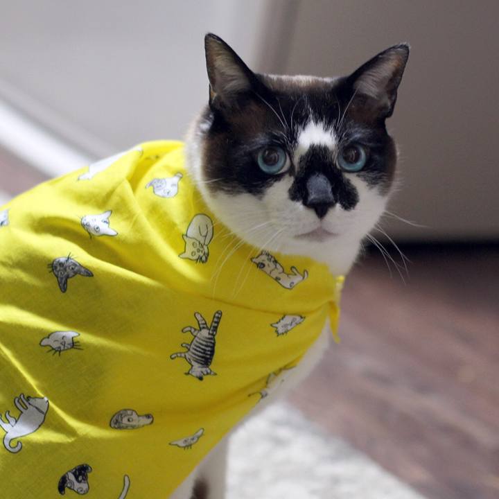 0efbfeed 49ee 40ae 99f1 90567c478b0d