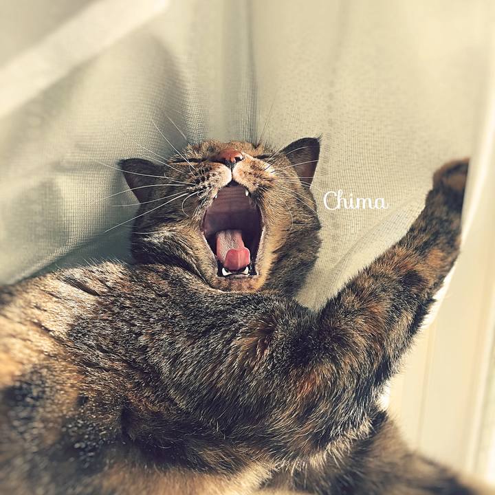 0efc14af f3b0 4723 83ed 9c6869702f84