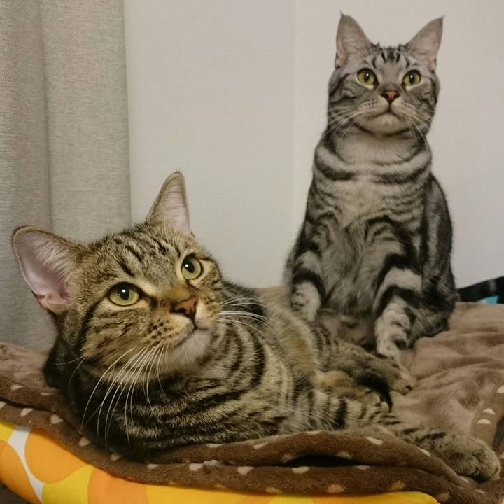 0efc2c71 aa00 4e72 bdd4 04bb7d4a67dd