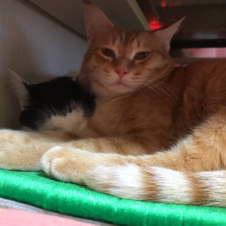 0efcc15b 099e 46db ba4a edfea7cce237