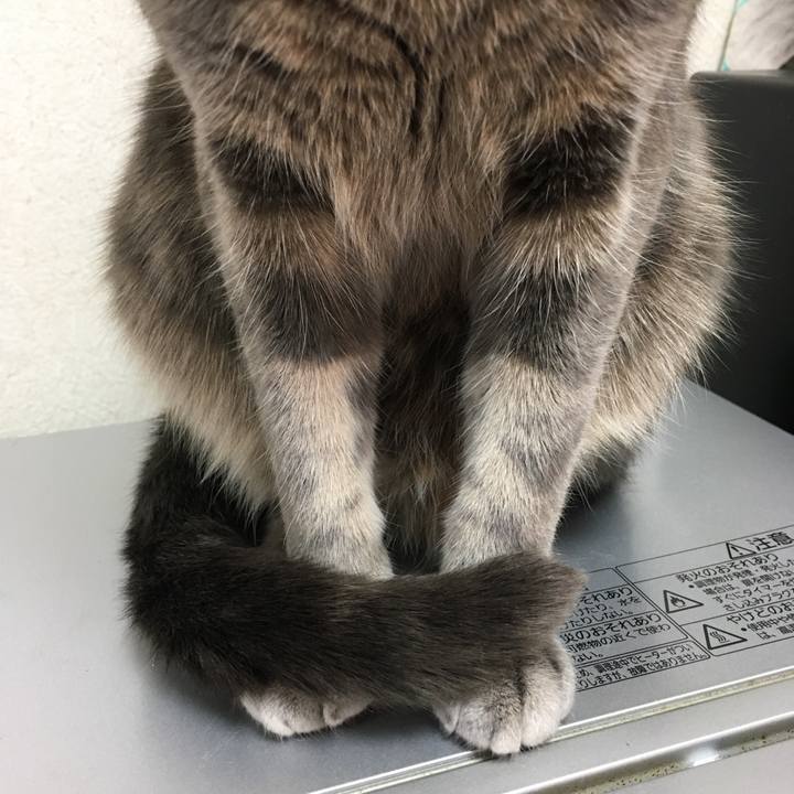 0efcd149 12f1 46ae b66a 9330b22f048b