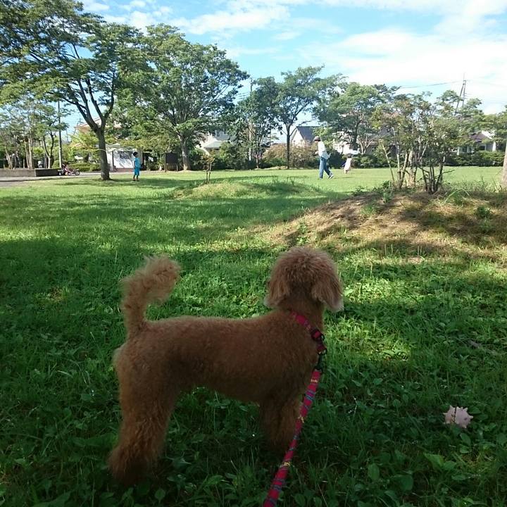 0efcda1e eaf1 48cd a03d fcca0b359310