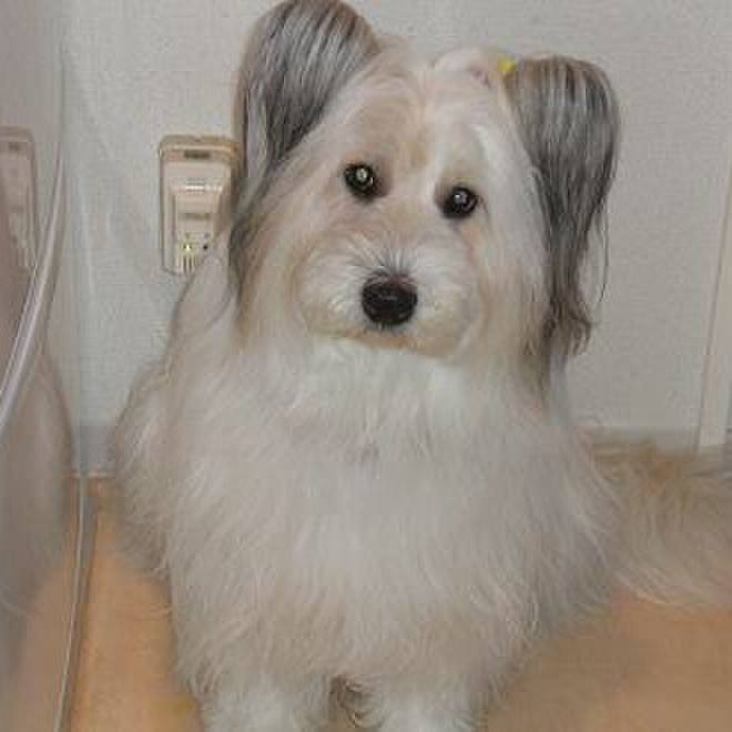 0efd273a 8715 4f8a 91cb c0e9a4decd0f