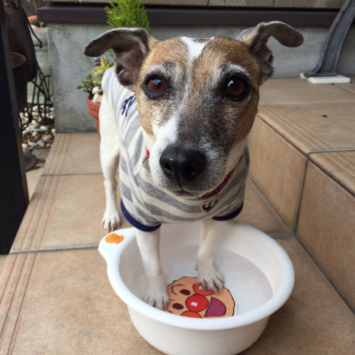 0efdb9be 4b6c 4a3a b4d6 73a34bbac60b