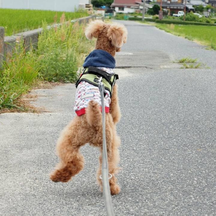 0efe1534 e096 4ec8 a4fe 682a8c048586