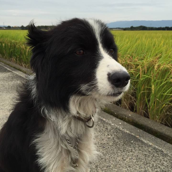 0efe2c73 b955 45d7 8c29 6550e0c8e99e