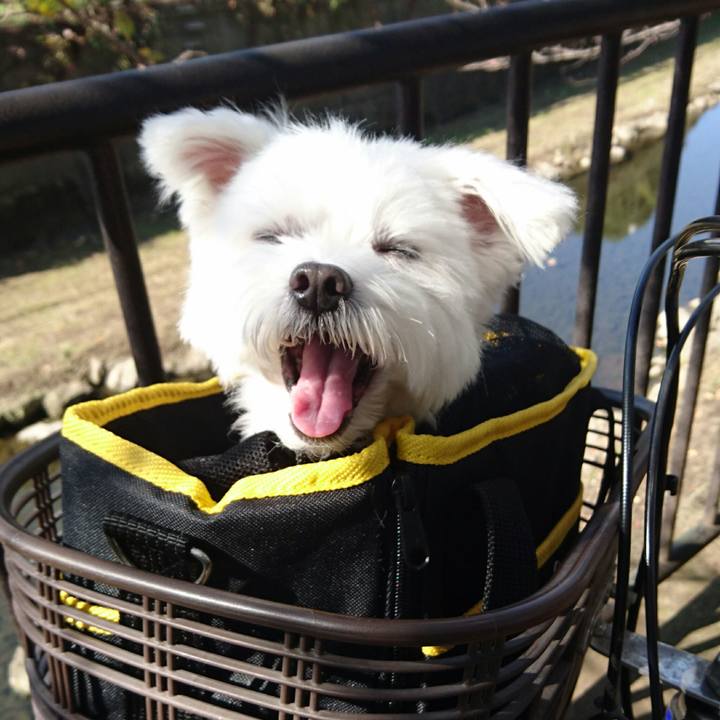 0efeca3b e3b7 4caf b8c6 e3841c7cecdd