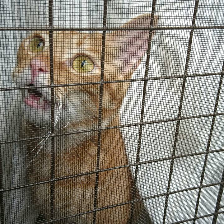 0eff7450 798f 48a9 8e02 7dfece18205c