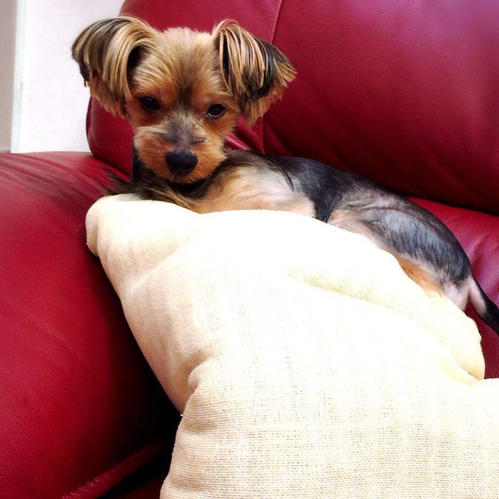 0effd334 e0e8 4725 9ede 6ff0e7294dbc