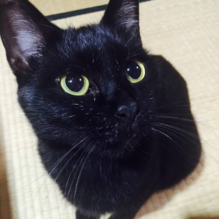 0effd6e9 d2fd 4c76 b57f 7e2189422fef