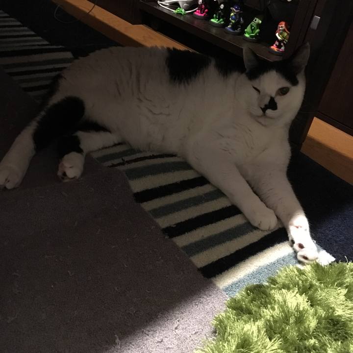 0f000cee c14c 4701 806f cdde0c9b8797