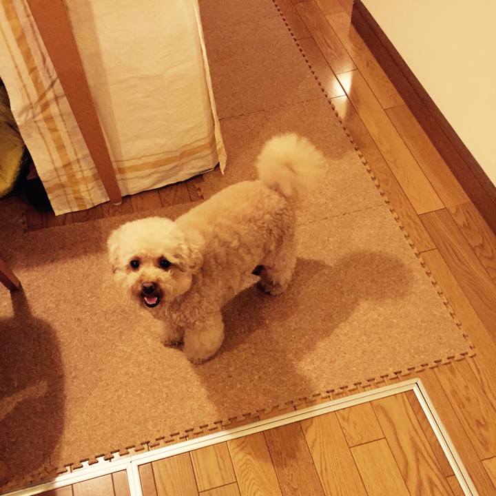 0f004de4 b44d 4876 b925 28cbfbb142a4