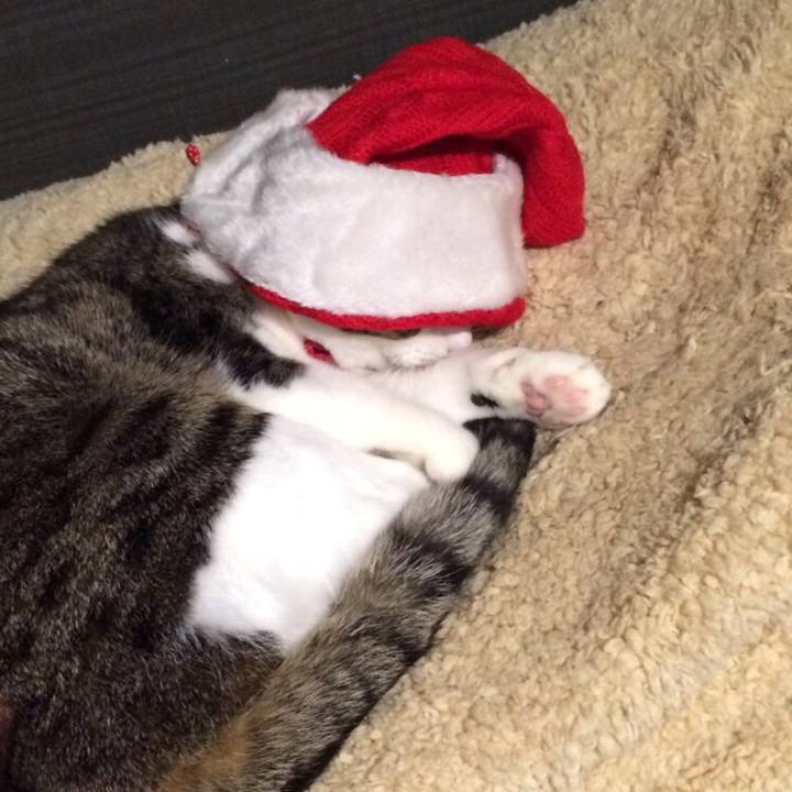 0f009d83 8dc0 42fd abcc d8ecc1f4c32e