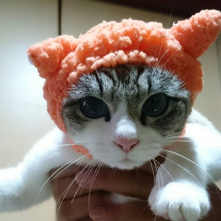 0f01194b e63c 4dc1 a96d 049d87cef05e