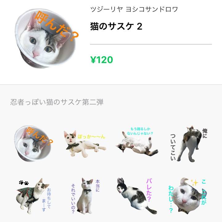 0f014915 88df 4844 931b 014a96df8e47