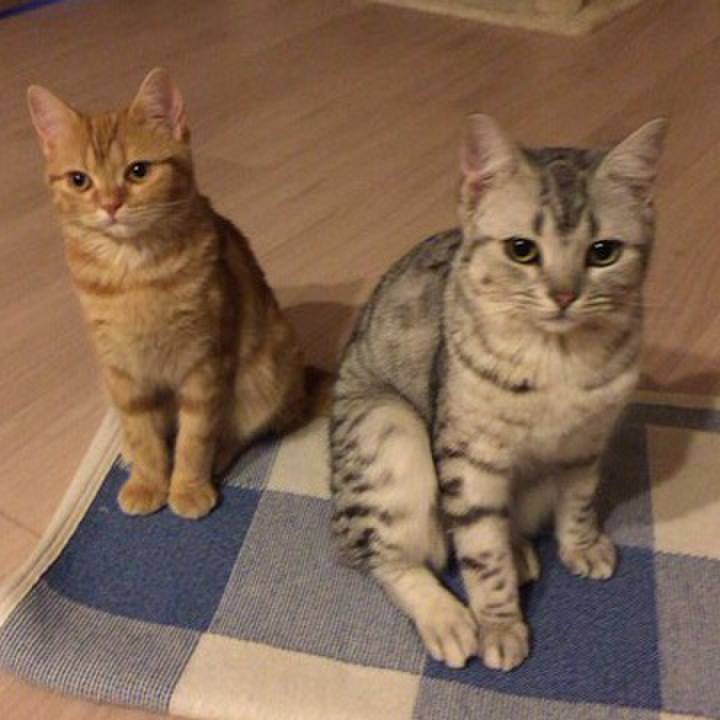 0f01f034 36cb 4f0a 8527 720671e9230a