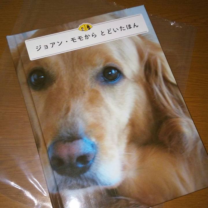 0f02eed0 2a60 4cd4 9fc4 b3e6841c6cbd