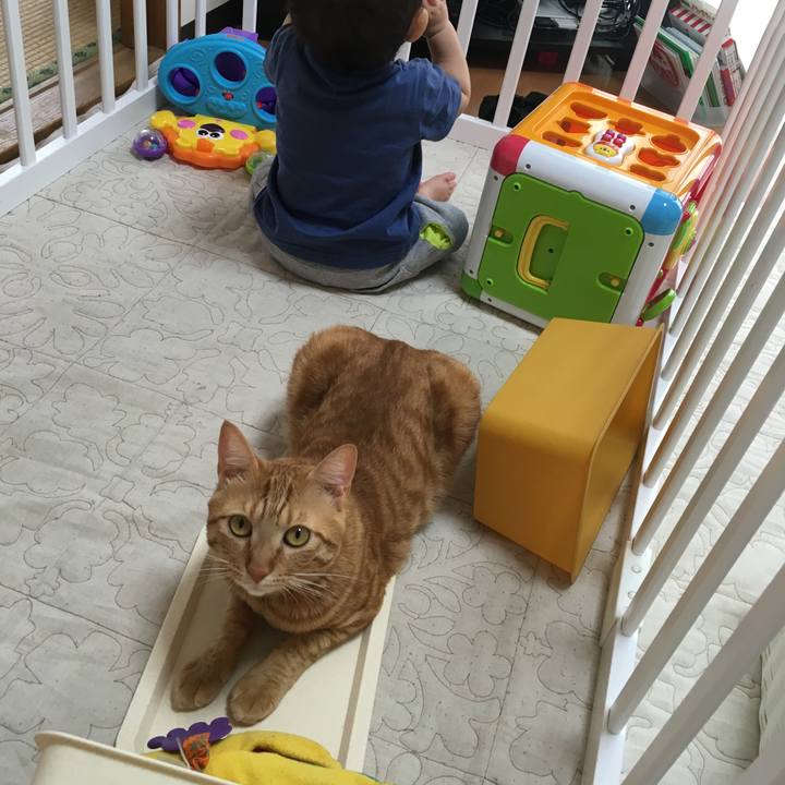 0f038638 0565 4723 906a 0c8724e30c1c