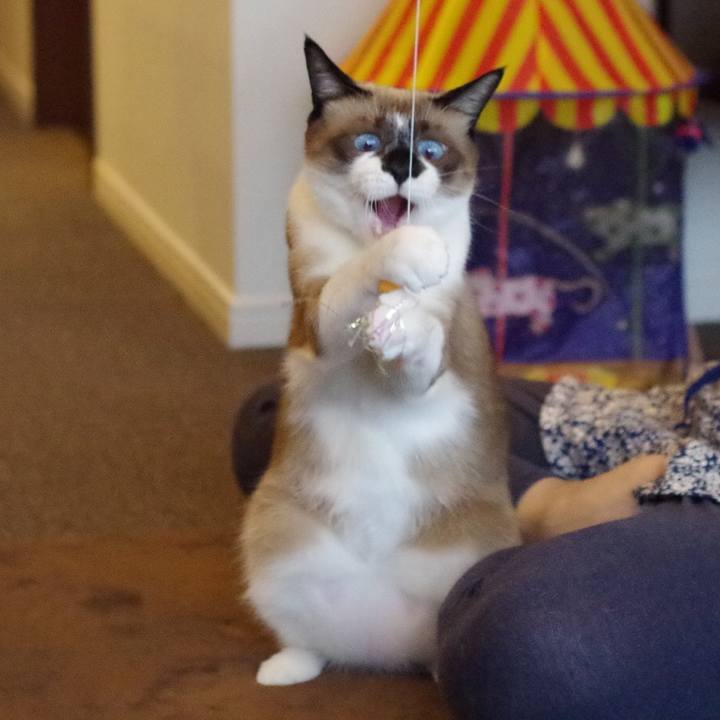 0f039ef9 e23f 494e 836c 488927b4b4fd