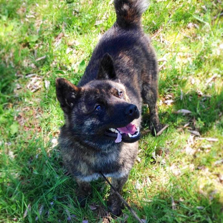 0f03f2c1 145c 48b1 8e83 4b9a5d4c2650